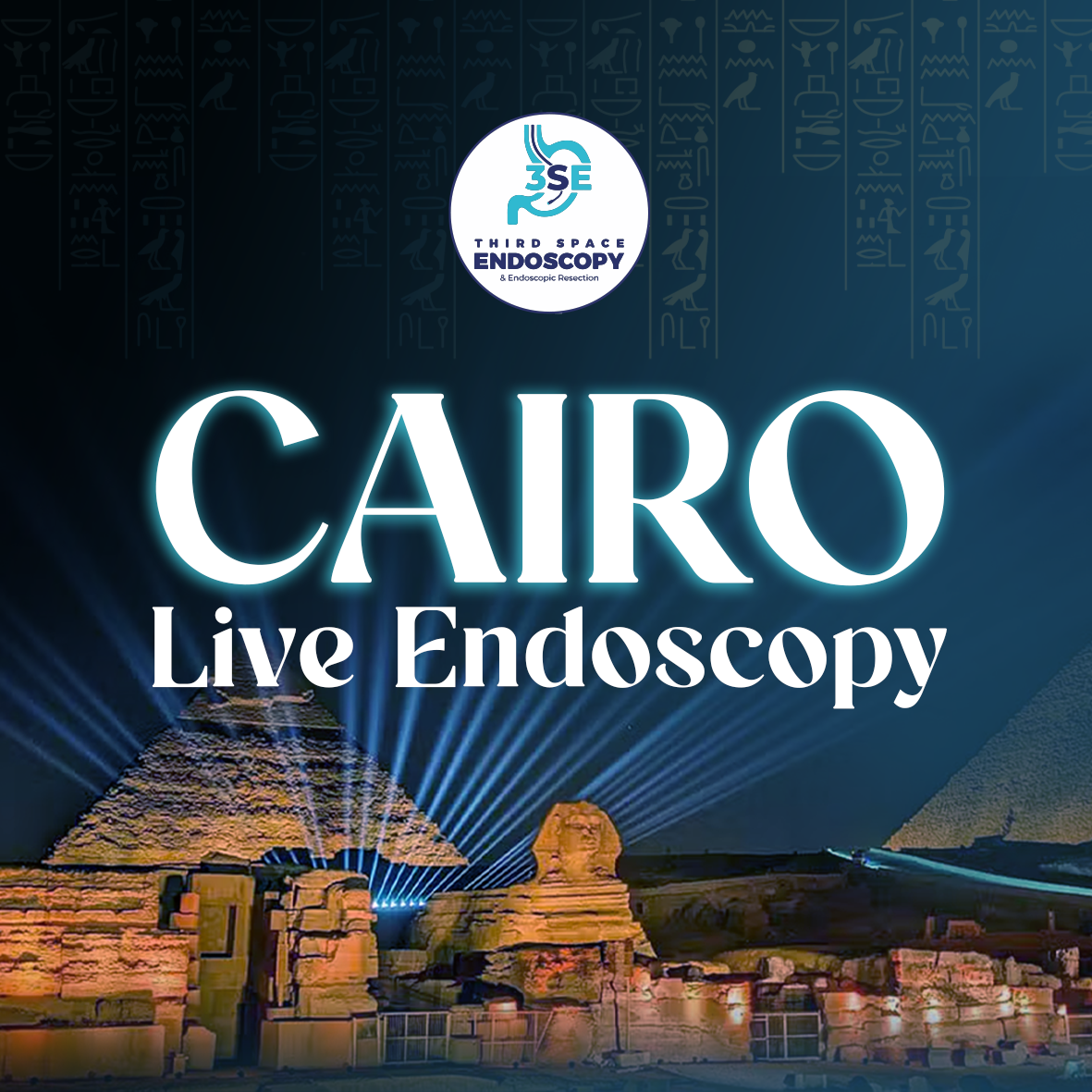 Cairo Live Endoscopy 2026